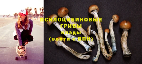 гашик Армянск